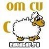 asta e belea =)) avatare funny