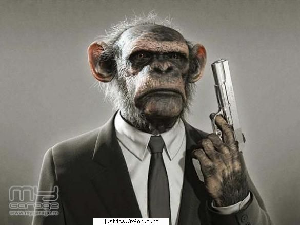 asta e belea  :rotfl:  :rotfl:  :rotfl:   :finger: avatare funny